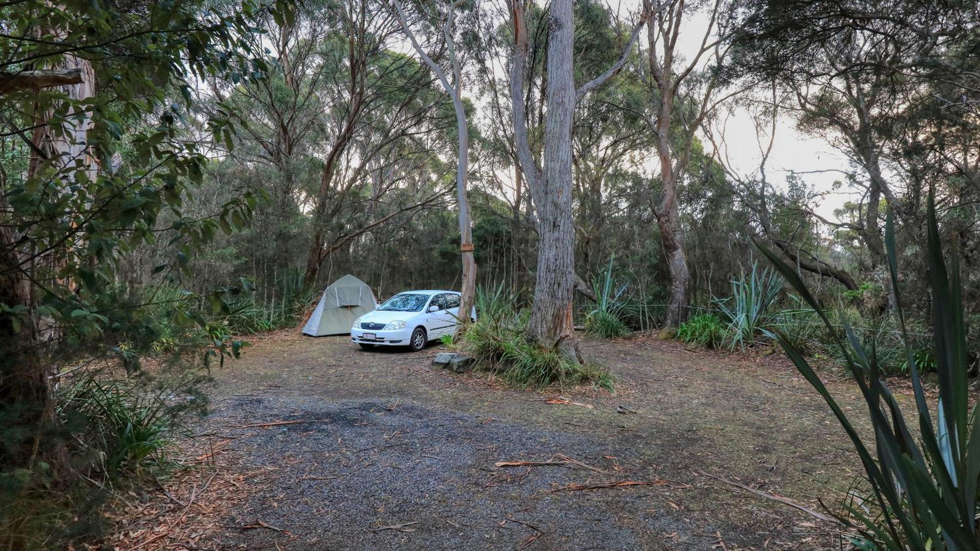 Crayfish Creek Van & Cabin Park Dış mekan fotoğraf